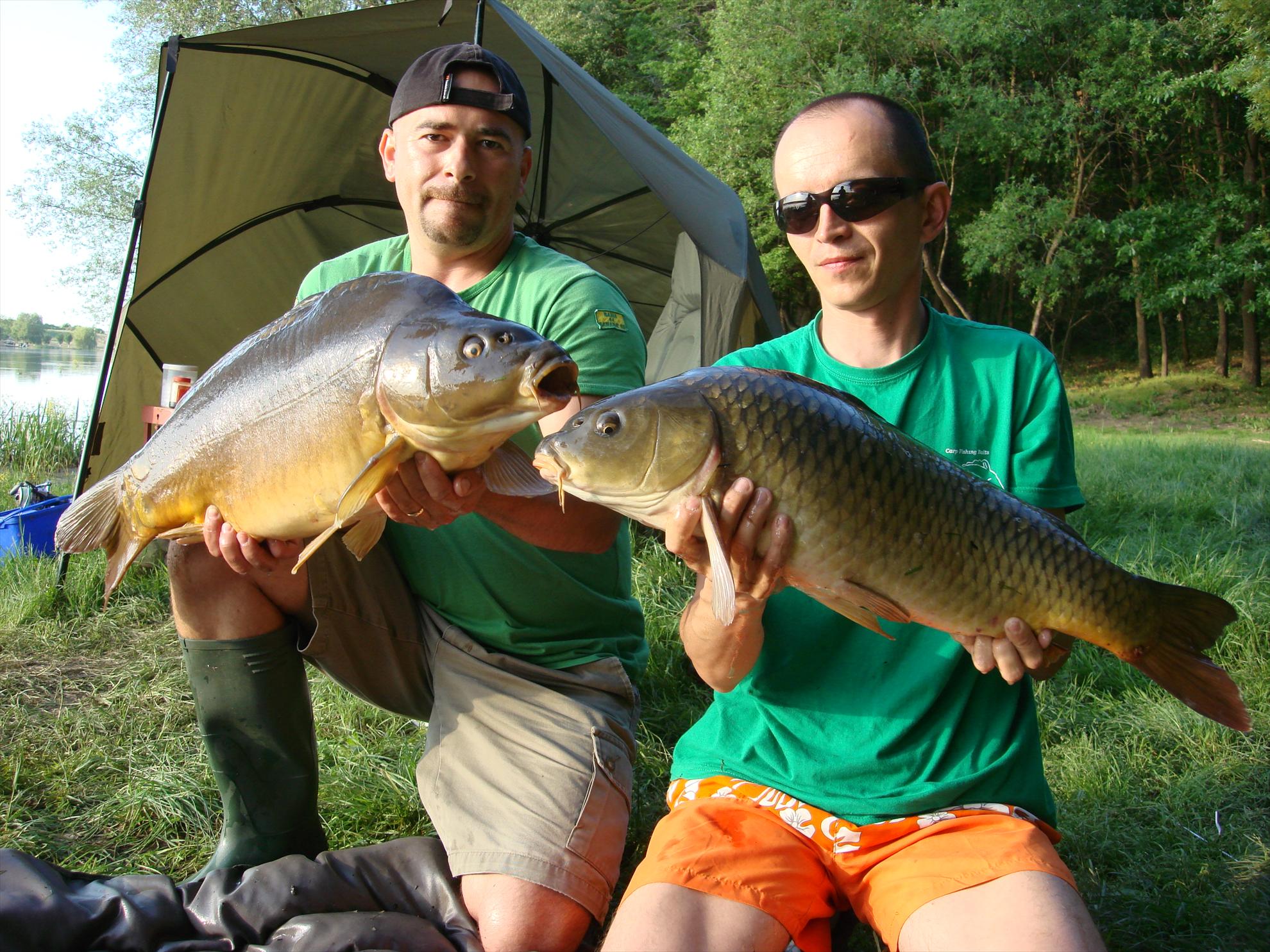 Cetariu Mai 2013 - dsc06096.JPG